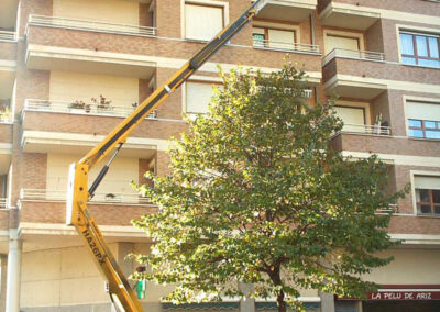 Catalunya 22 al 52 Basauri